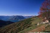 20041114_103_26 Panorama sul Lario tra i sorbi dell'alpe Chiaro.jpg